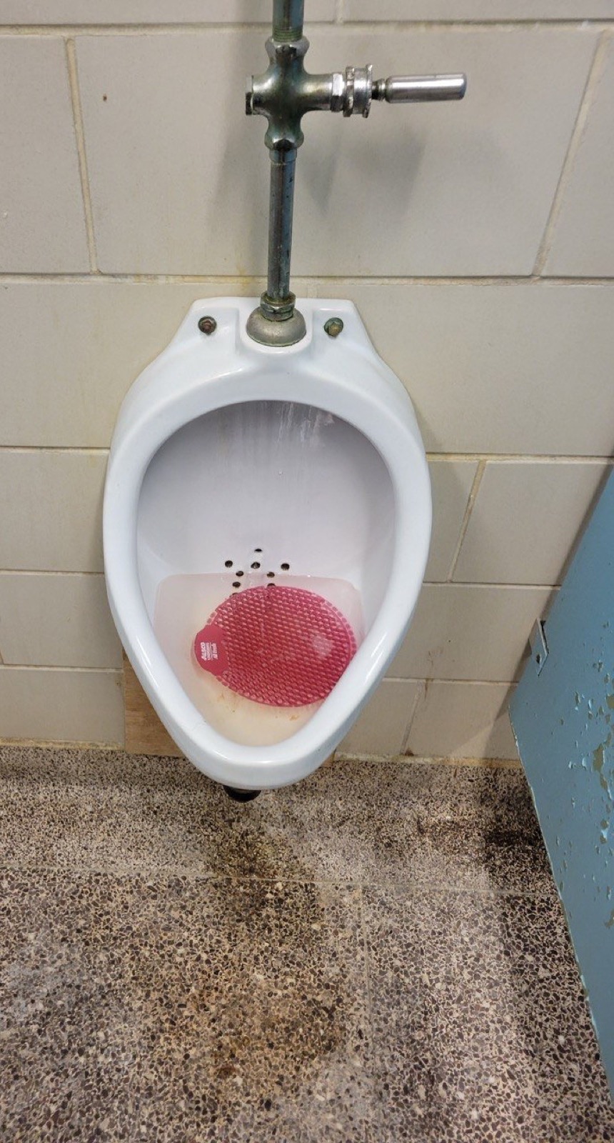 Commercial urinal serviced in the Niagara Region